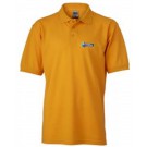 color:gold-yellow